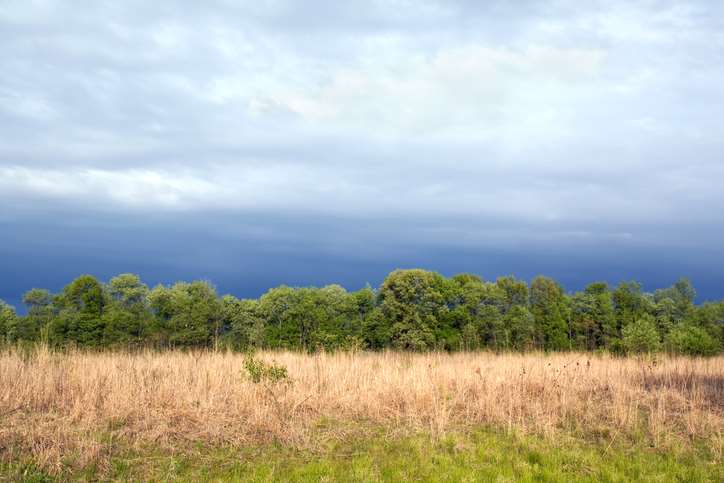 kankakee illinois